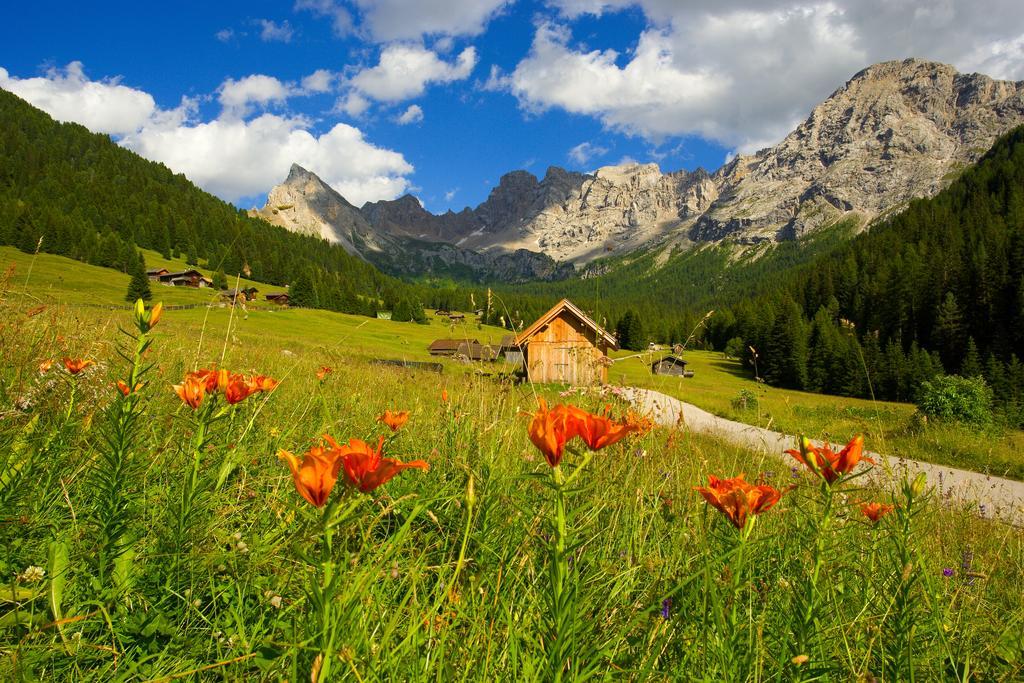Relais San Giusto Hotel Campitello di Fassa Exterior foto